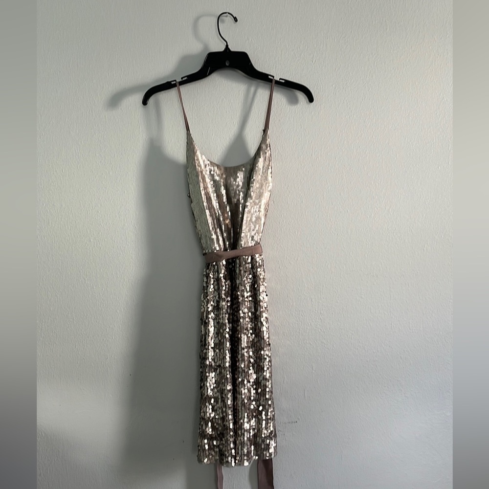 EUC Gorgeous champagne gold sequins Express dress. Worn one time.